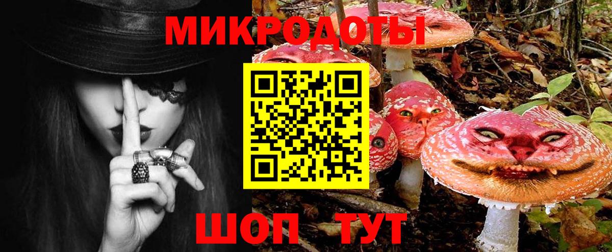 Галлюциногенные грибы Psilocybe Алейск