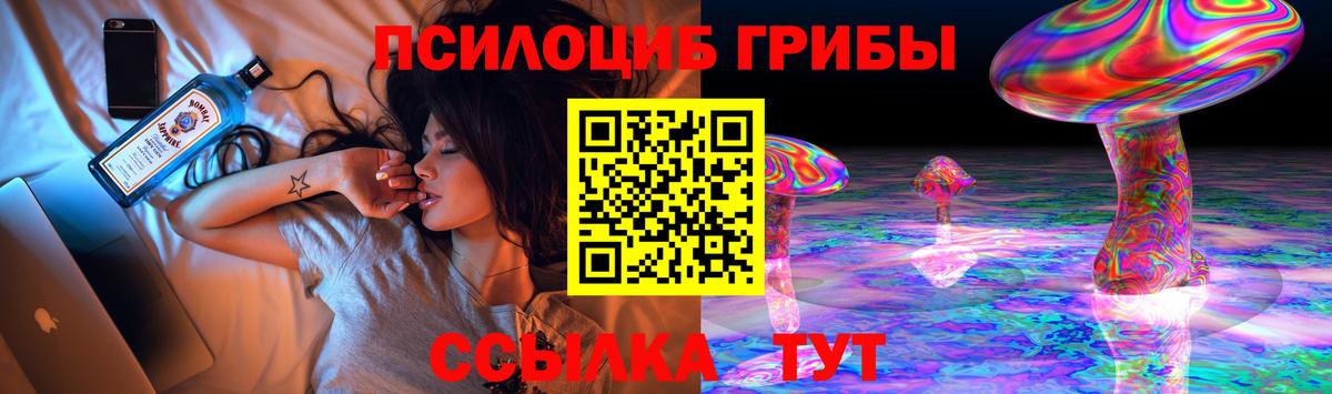 Псилоцибиновые грибы Magic Shrooms  продажа наркотиков  Алейск  Псилоцибиновые грибы Cubensis  Вход с VPN 